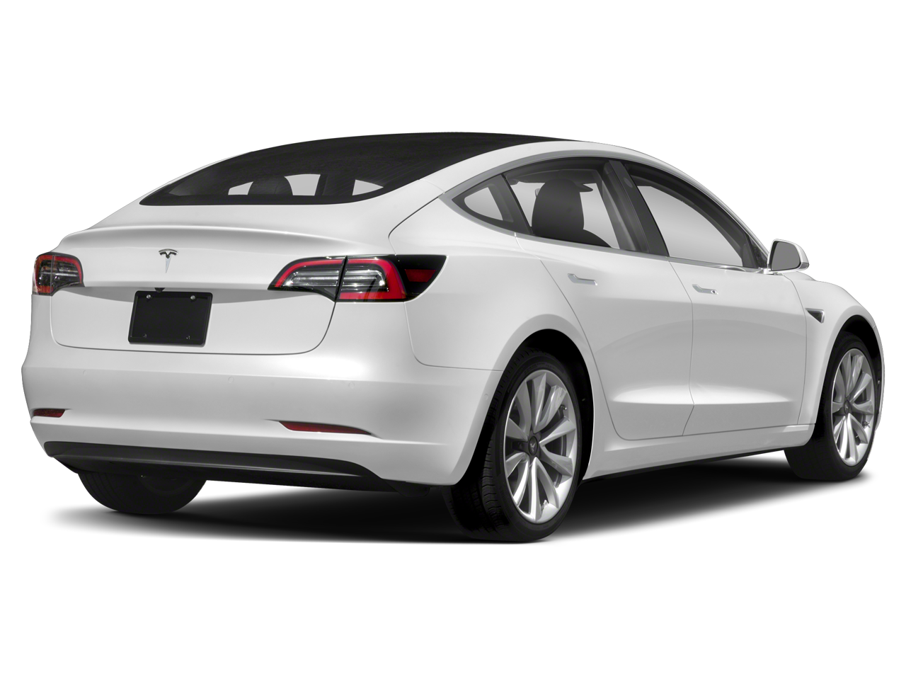 Used 2020 Tesla Model 3  with VIN 5YJ3E1EC0LF642067 for sale in Columbia, SC